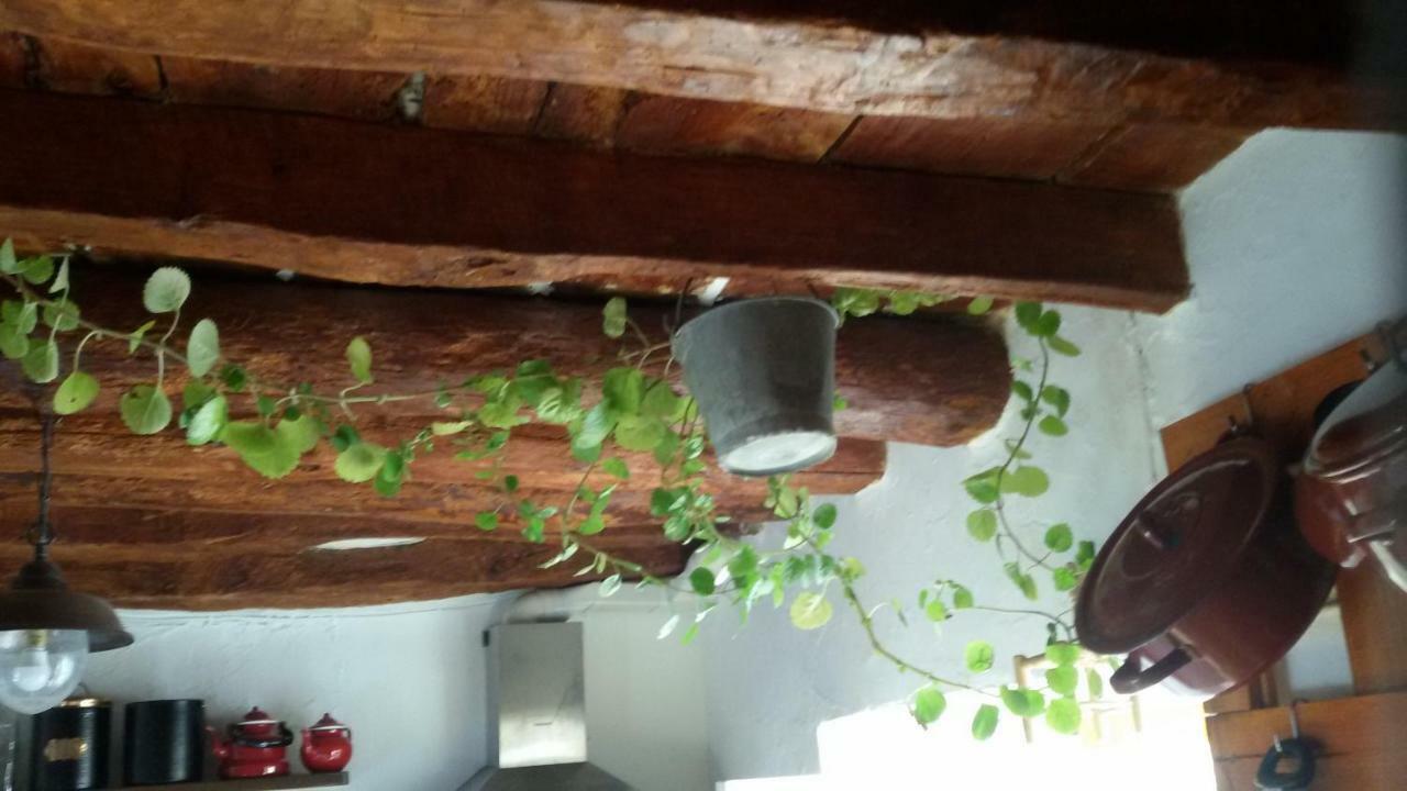 La casa de la acequia Hostal Serón Exterior foto