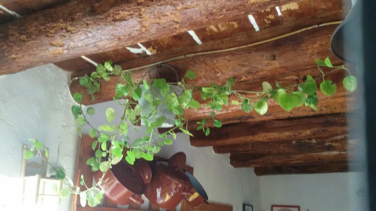 La casa de la acequia Hostal Serón Exterior foto